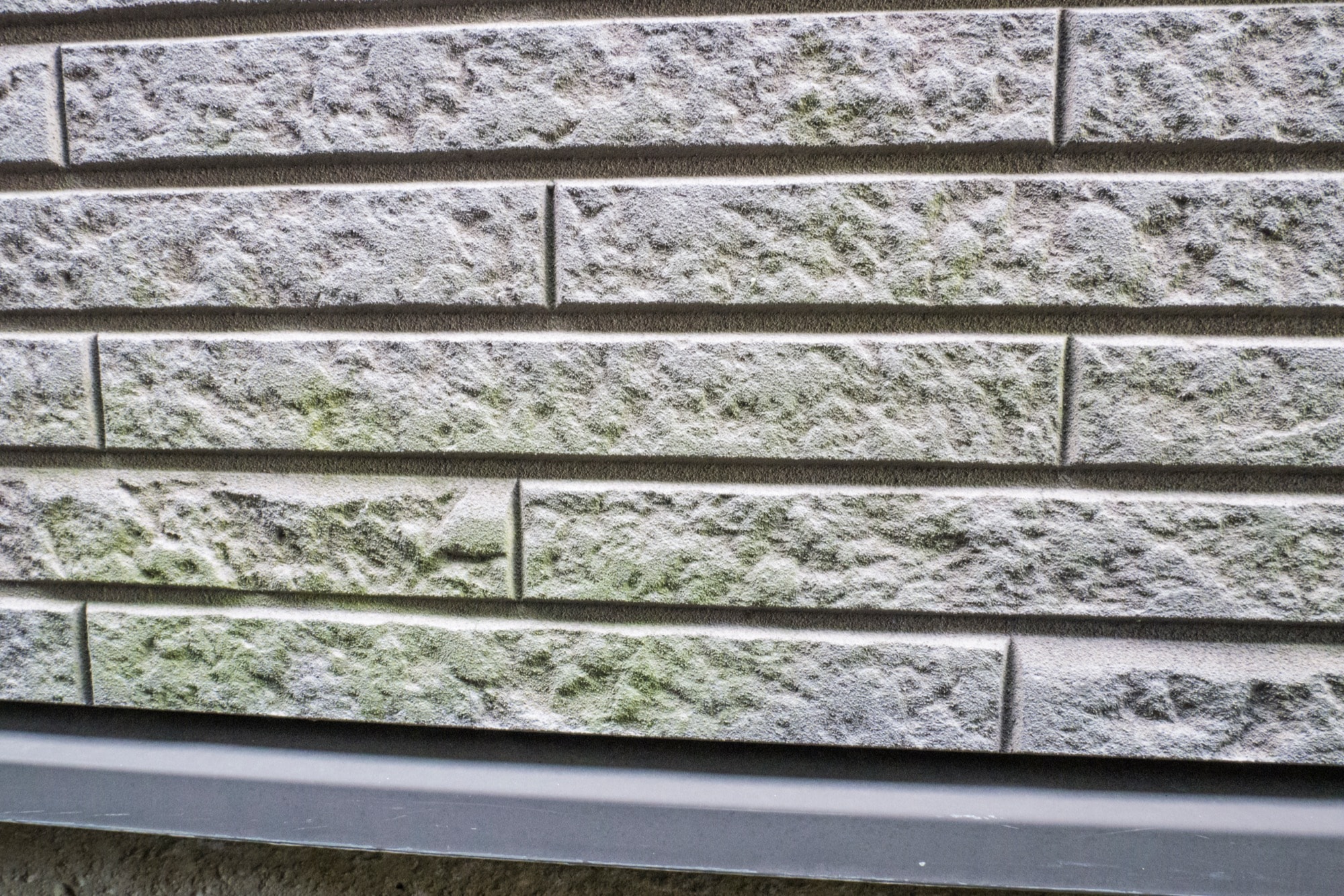 コケのついた外壁